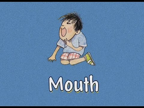 NOODLEBUG All About Me