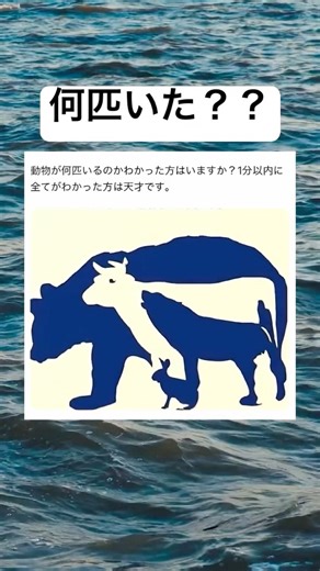 #shorts#動物#面白い#笑える#イラスト#画像