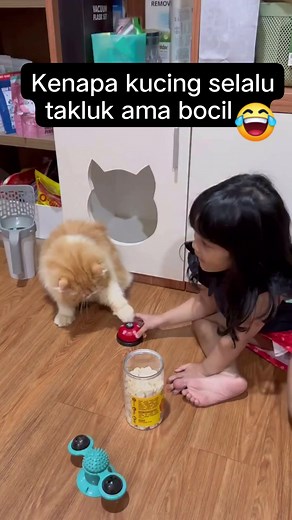 429K views · 7.5K reactions | Kenapa kucing nurut bgt ama bocil  #kucinglucu #kucingkocak | Diki Hardian | Facebook