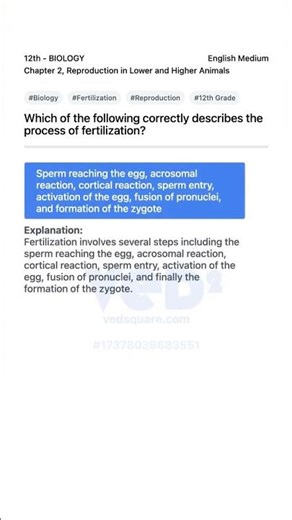 Understanding Fertilization Process in Biology