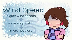 Weather: What's the Wind Chill