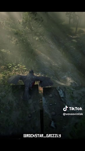 RDR2 Robin Location: Where to Find American Robin in Red Dead 2