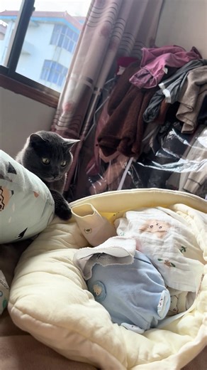 Cats meeting newborns for the first time#newborn #firstmeet #catsoftiktok #babysoftiktok #fyp