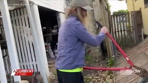 Fence ripped down in ugly neighbour war