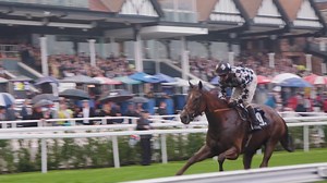 9.1K views · 46 reactions | ☔Chester Racecourse Wet Weather Promise☔...