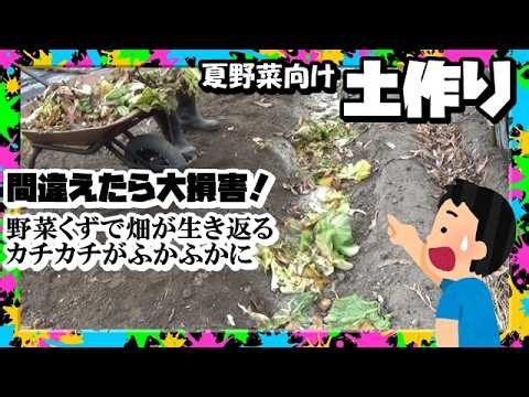 Soil Preparation | Waste Turns into Treasure! Easy Soil Improvement with Vegetable Scraps