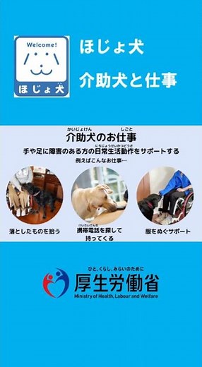 もっと知って！ほじょ犬 #Shorts