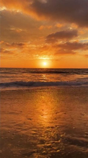 California Sunsets 🌅