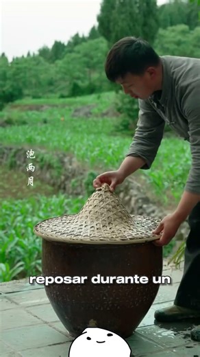 The secret of the bark that changed the world forever 🌳📜