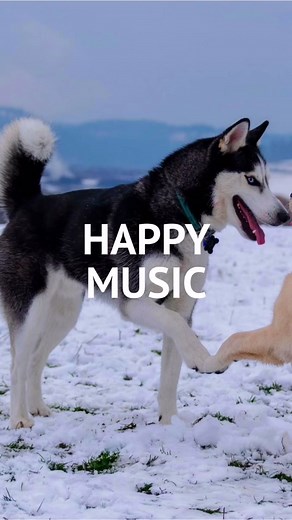 Free Background Music for Vlog на TikTok