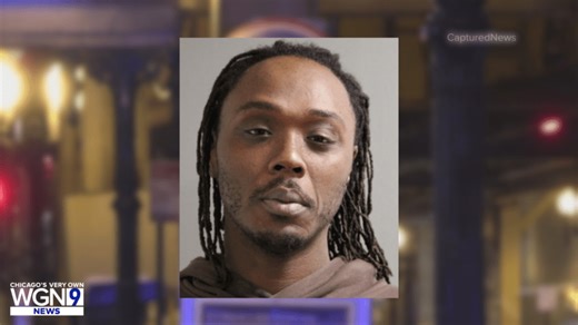 Docs: Man records his deadly stabbing of sleeping passenger on CTA Blue Line