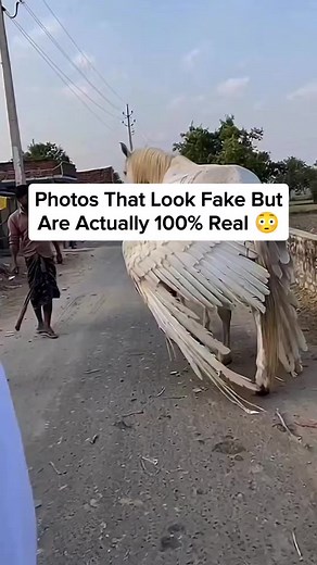 Photos That Look Fake But Are 100% Real