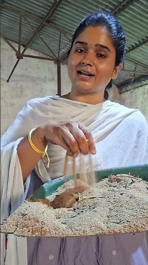 composting tips for home