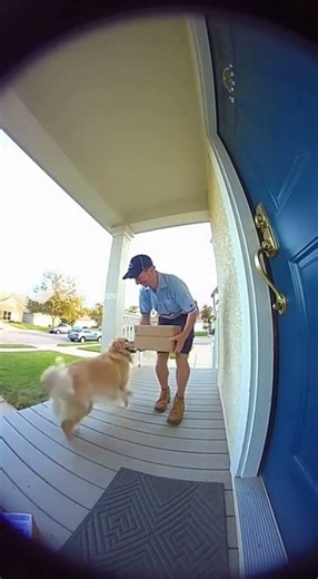 Such an amazing interaction between a dog and a mailman. Make sure to like, subscribe, and comment:)