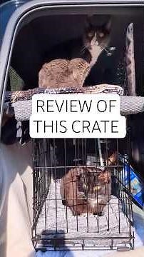 Crate review for cat travel #productreview #catincar #cattips