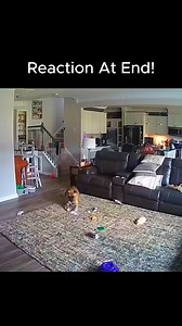 Thank the lord cameras were not inside my house growing up! | Zach Rushing