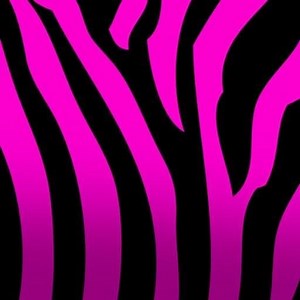 Pink Zebra (Ft. Benji Jackson) – Amazing