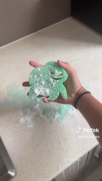 slaycleanz on TikTok