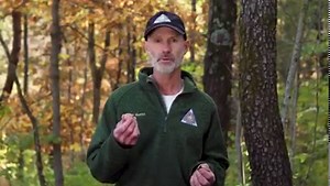 60K views · 271 reactions | THE MIGHTY PERSIMMON -- Persimmons are...