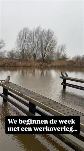 Magische maandag ochtend 🤩#oudeijssel