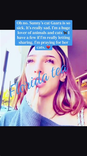 🫖 🍊 Florida Tea 🍊🫖 (@teawithsidney)’s video of fip in cats