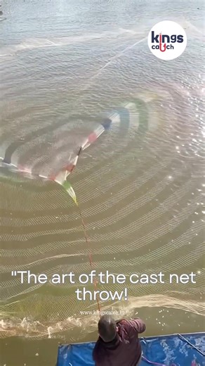 "The art of the cast net throw! 🎣 This beautiful, multi-colored net is a traditional and highly skilled way to catch fish. Some say the colors help camouflage it underwater for a bigger haul! What do you think of this technique? #fishing #castnet #tradition #anglerlife #outdoors" | King's Catch - We bring quality fish for fishterianz
