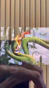 FUN & FANCY FREE (1947) Willie The Giant Chase (W/ Horton Hears A Who Music)