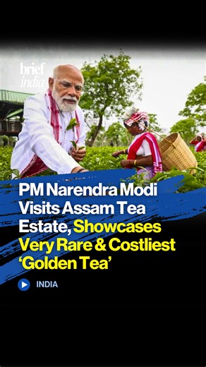 PM Narendra Modi visits Assam tea estate, showcases rare 'golden tea'