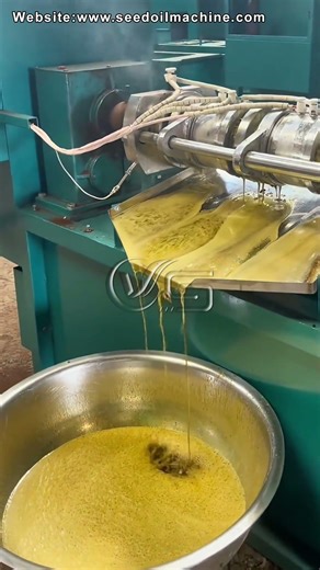 Inside a High-Profit Oil Mill! 🏭 Full Extraction Process & High Yield Demonstration
