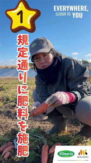 【ニンジン栽培🥕】尻の色抜けの原因と対策🆘