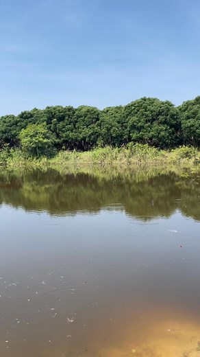 46K views · 824 reactions |...