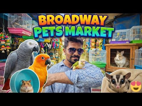 Chennai Broadway Pet Market 🐦 🐶🐱 | Rare Pets, Puppies & Birds | Mr Monster Bala l Sunday market