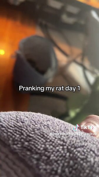 Pranking My Rat: Day 1 Fun with Roblox