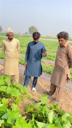 Maximize Your TikTok Reach with Effective Hashtags