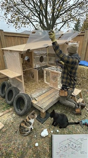 I Built a Warm Shelter for Stray Cats From Scrap Wood and Old Tyres