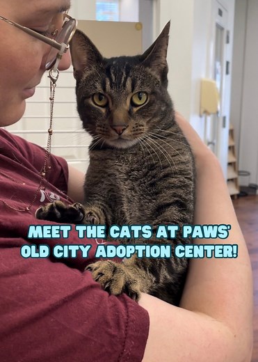 3.5K views · 115 reactions | Kick off your weekend with the adorable...