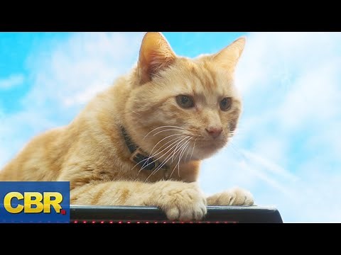 What Nobody Realized About Goose The Cat In Captain Marvel