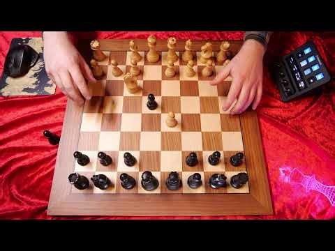 BRAIN MELTING CHESS ASMR ♔ Morphy's Only Mistake ♔