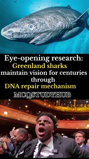 😱😱😱#greenlandshark live Long over 400 year through dna repair #viralshort #trendingshorts