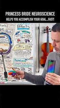 ACCOMPLISH YOUR "THING"...PRINCESS BRIDE-STYLE! NOT "INCONCEIVABLE"! USE "INIGO MONTOYA LEARNING"!