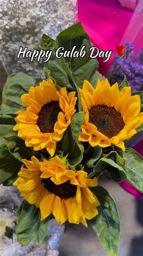 Gulab Day 😁🌹#roseday #phool #rose #love #ytshorts #shortsfeed