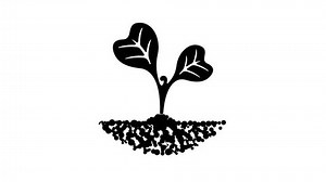 Sprout Grows Out Soil Graphic Animation Stock Footage Video (100% Royalty-free) 3633814911 | Shutterstock