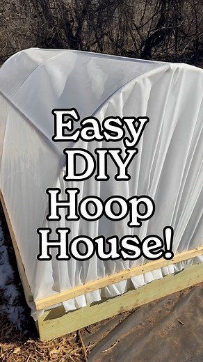 300K views · 2.9K reactions | These DIY PVC hoop houses for raised beds are super easy and cost effective to be able to extend your growing seasons in cold weather, help protect against pests, or add some shade! #growfood #growyourfood #growyourownfood #gardening #growingfood #vegetablegarden #vegetable #fromseedtospoon #seedtospoon #growfoodnotlawns #letsgrowsomethinggood #hoophouse | From Seed to Spoon | Facebook