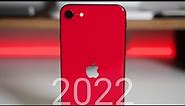 iPhone SE 2 In 2022 - Should You Still Buy It or Wait?