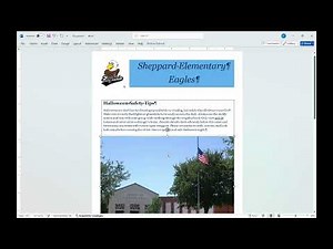 Week 2 newsletter tutorial