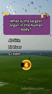 Think You’re a Genius? 🤯 Prove It! Crack These Mind‑Bending Puzzles & See How Many You Get Right 🏆 🧠💡 #trivia #iq #quiz #quiztimer #riddle #knowledge #generalknowledge #fyp #foryou #fypシ゚viral #puzzle | 12D Health Hub