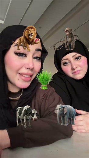 #tiktok #ترند #تيك_توك #سماسيمو