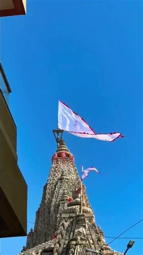 Jay Dwarkadhish 💝🦚 #dwarka #dwarkadhish #viralshorts