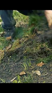 573K views · 5.9K reactions | Building complete and warm survival shelter_ Bushcraft earth hut, grass roof & fireplace with clay #bushcraft #survival #camp #outdoors #ourdoorcooking #asmr #food #cooking #build #outdoorcamp #camping #craft | Cooking in the Forest | Facebook