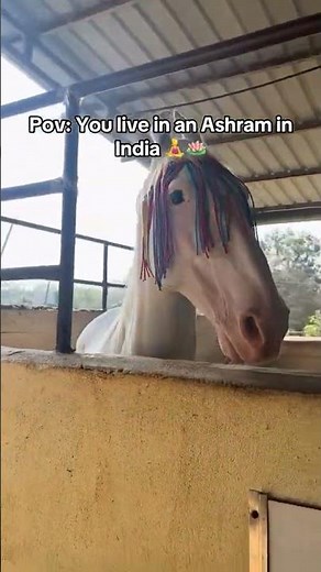 Living in an ashram in India ~ Art of living Bangalore 🪴🥰 #ytshorts